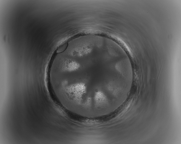 X0000087710487200705111424