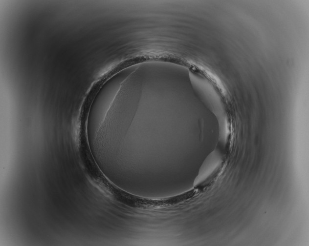 X0000087710488200705111424
