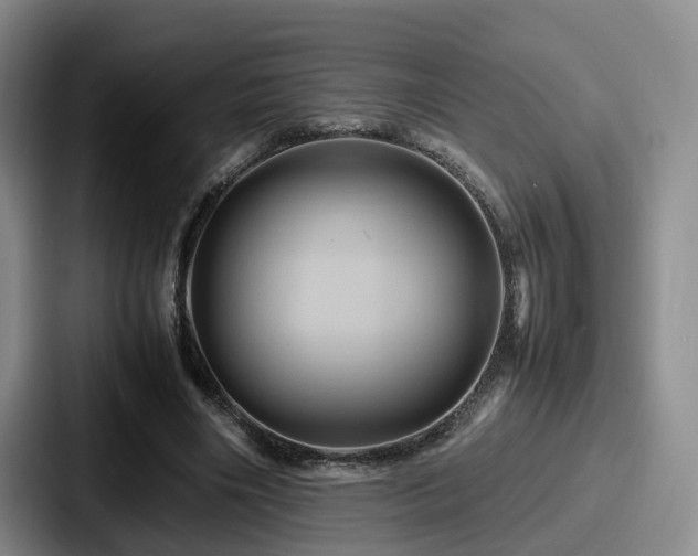 X0000087710490200705111424