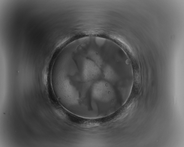 X0000087710491200705111424