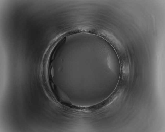 X0000087710492200705111424