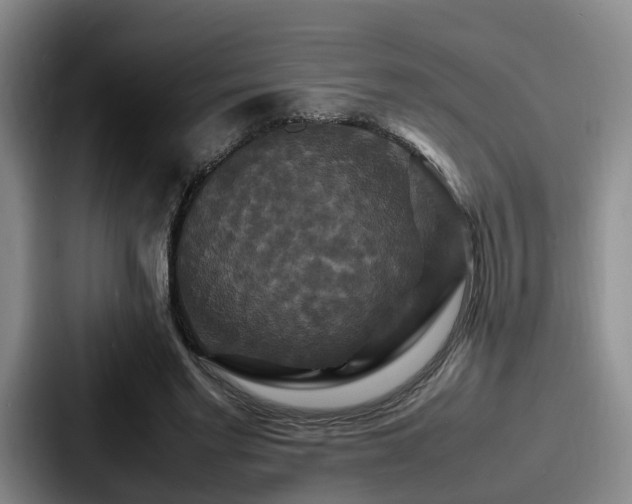 X0000087710493200705111424