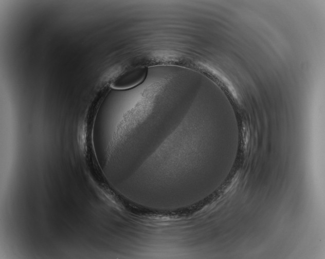 X0000087710494200705111424