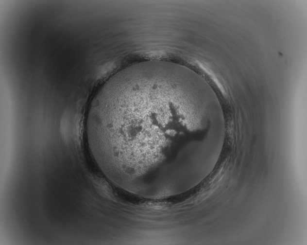 X0000087710495200705111424