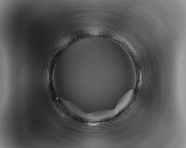 X0000087710496200705111424