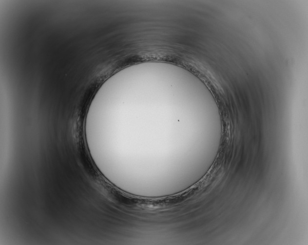 X0000087710498200705111424