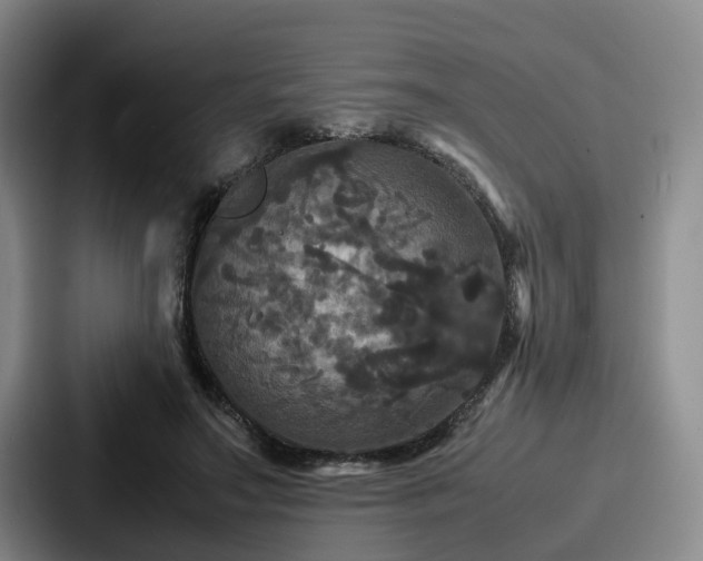 X0000087710499200705111424