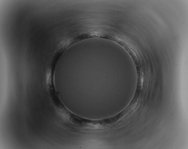 X0000087710502200705111424