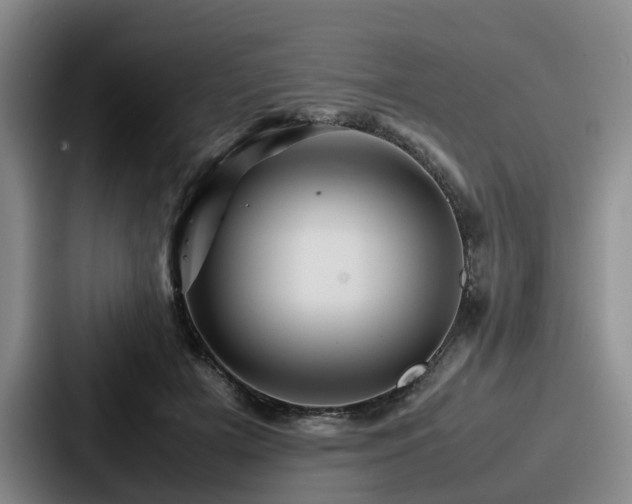 X0000087710505200705111424