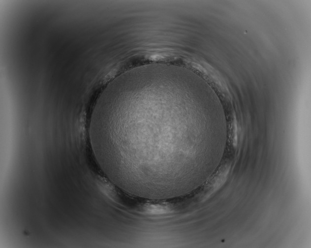 X0000087710510200705111424