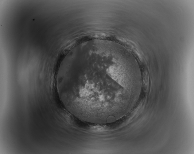 X0000087710511200705111424