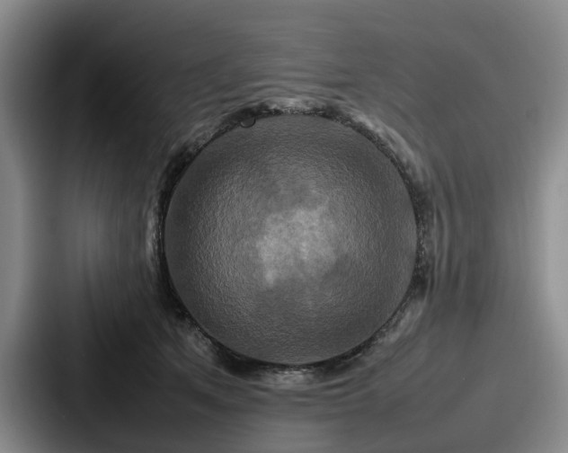 X0000087710513200705111423