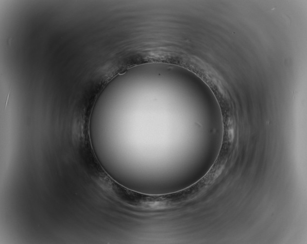 X0000087710514200705111423