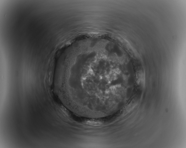X0000087710515200705111423