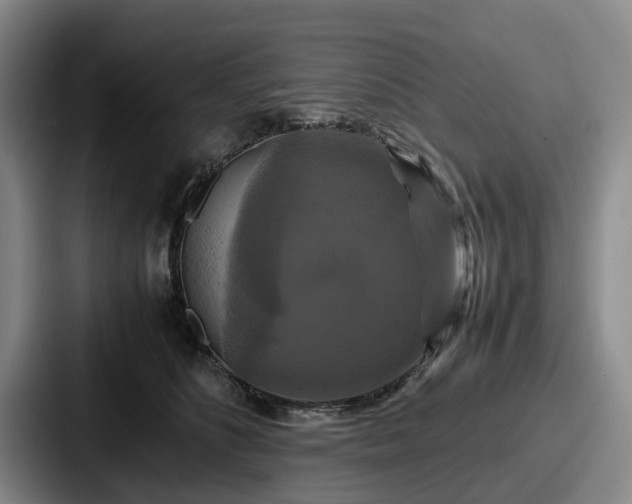X0000087710516200705111423