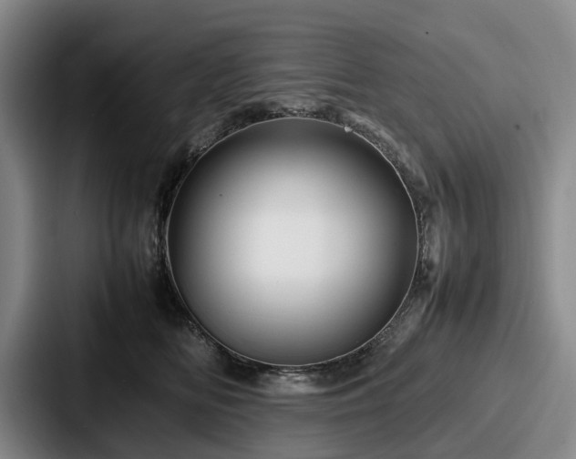 X0000087710518200705111423