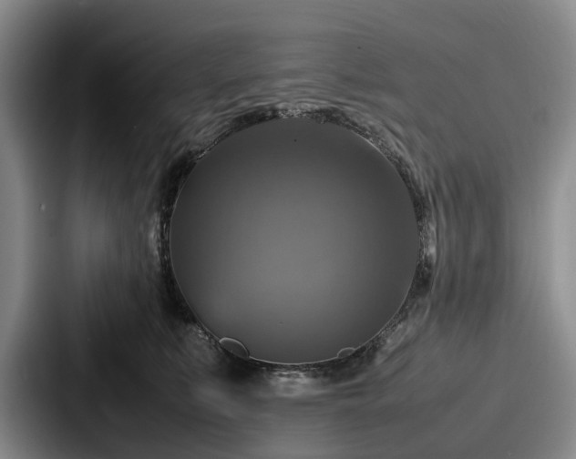 X0000087710519200705111423