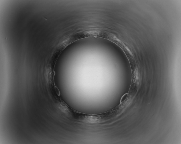 X0000087710522200705111423