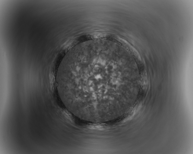 X0000087710523200705111423