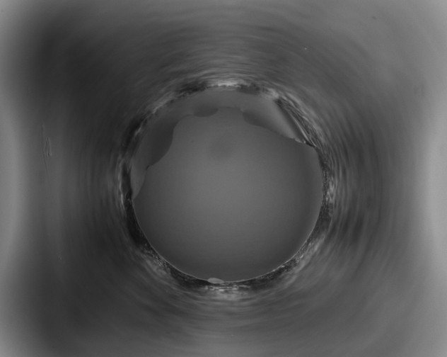 X0000087710524200705111423