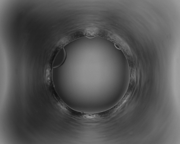 X0000087710526200705111423