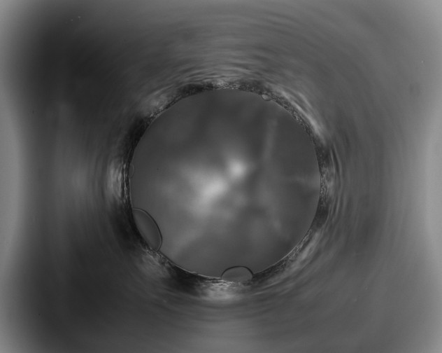 X0000087710527200705111423