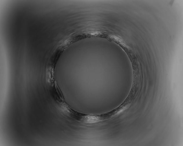 X0000087710528200705111423