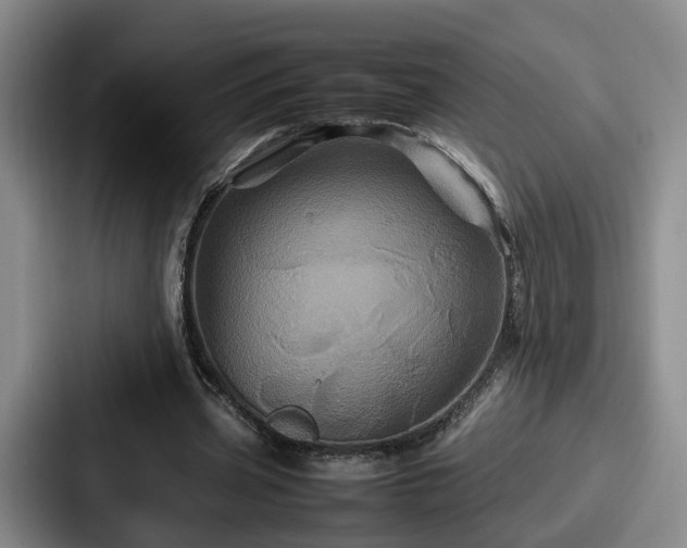 X0000087710533200705111423
