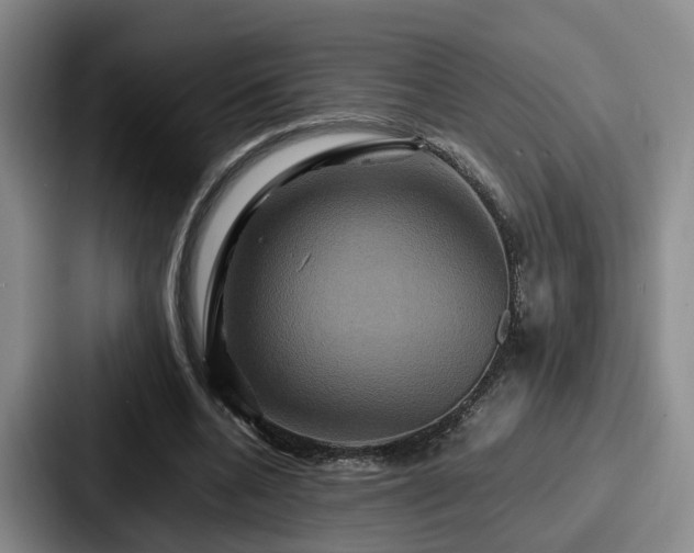 X0000087710536200705111423