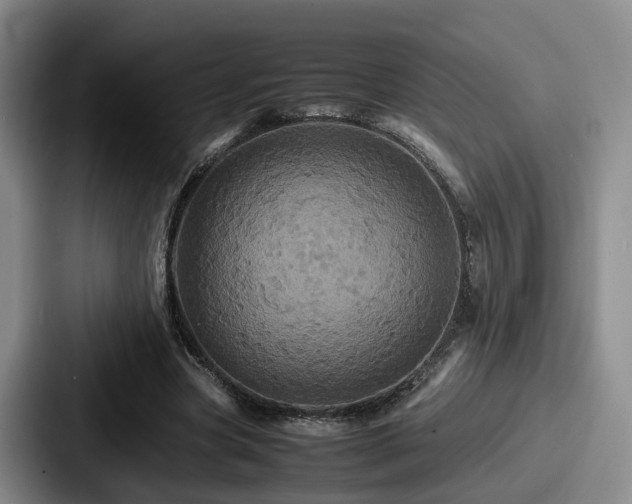 X0000087710537200705111423
