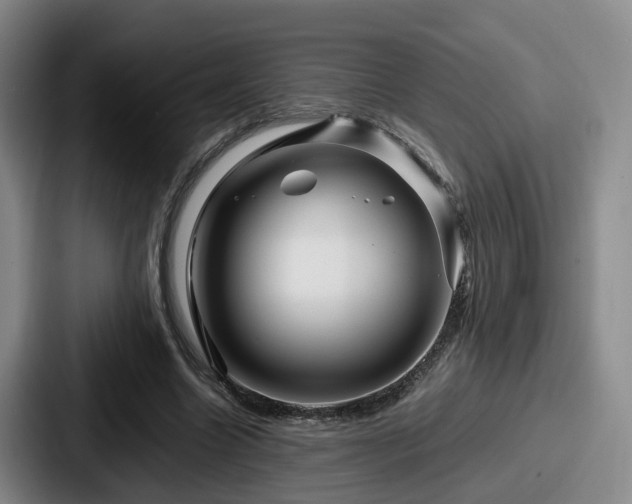 X0000087710538200705111423