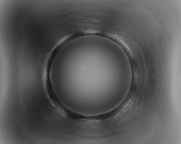 X0000087710539200705111423