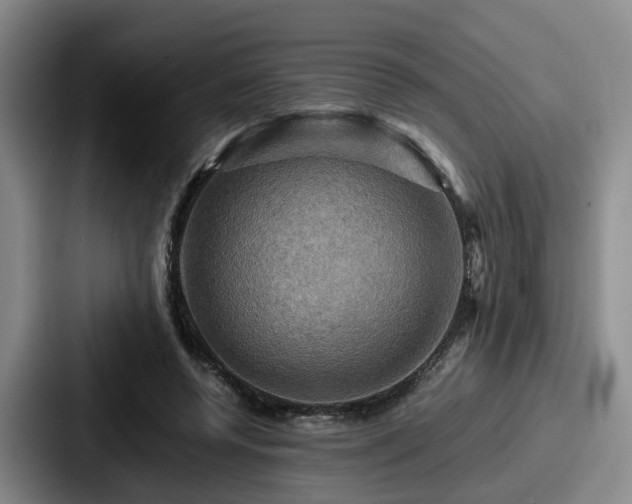 X0000087710544200705111423