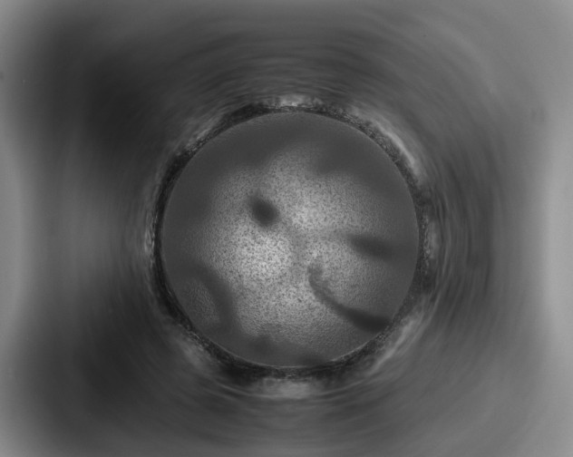 X0000087710545200705111423