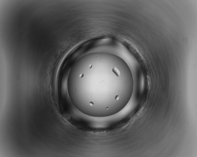 X0000087710546200705111423