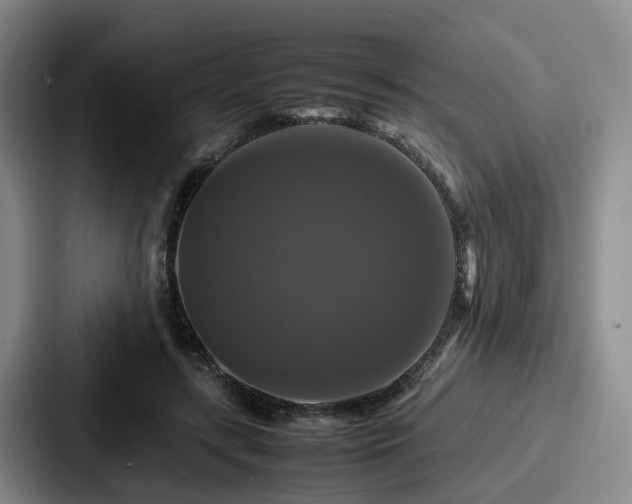 X0000087710547200705111423