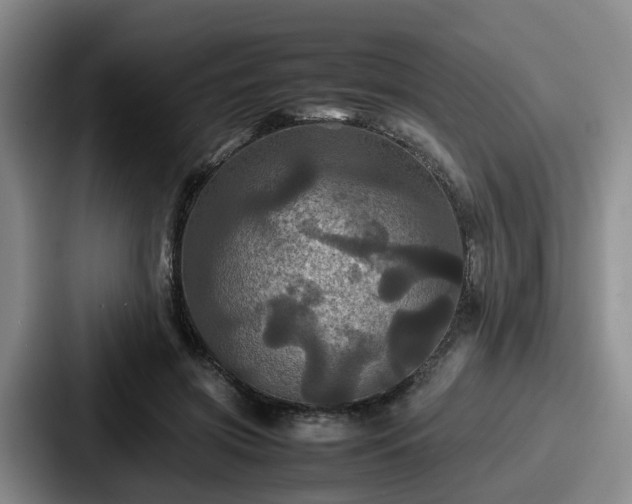 X0000087710549200705111423