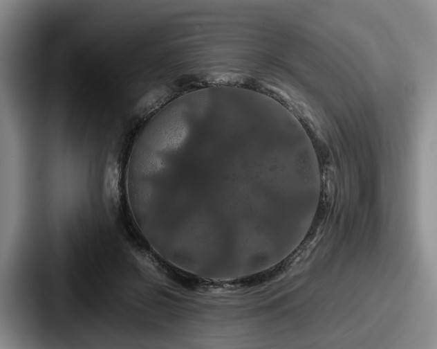 X0000087710550200705111423