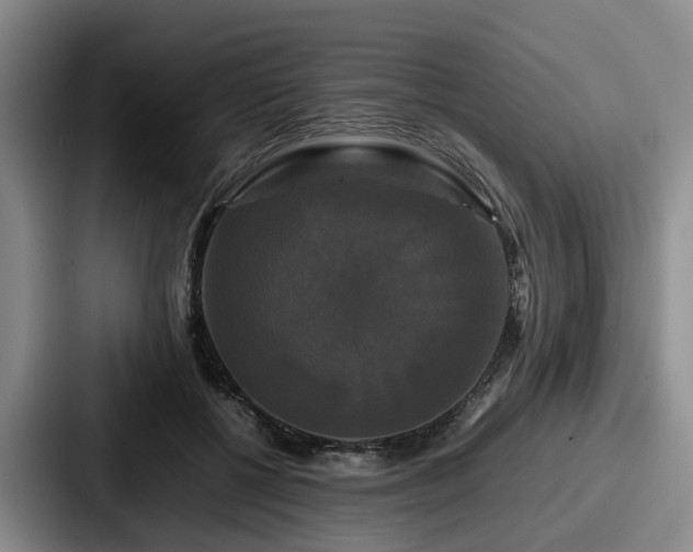 X0000087710552200705111423