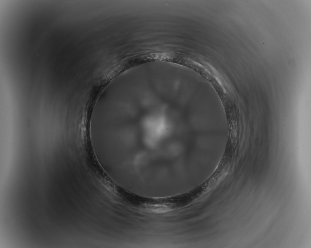 X0000087710553200705111423