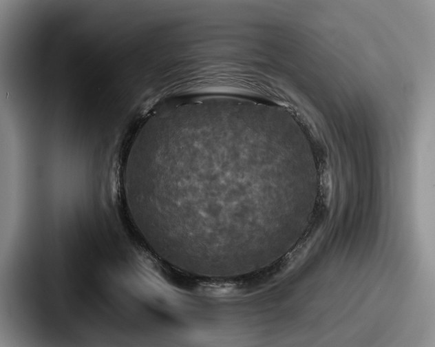 X0000087710554200705111423