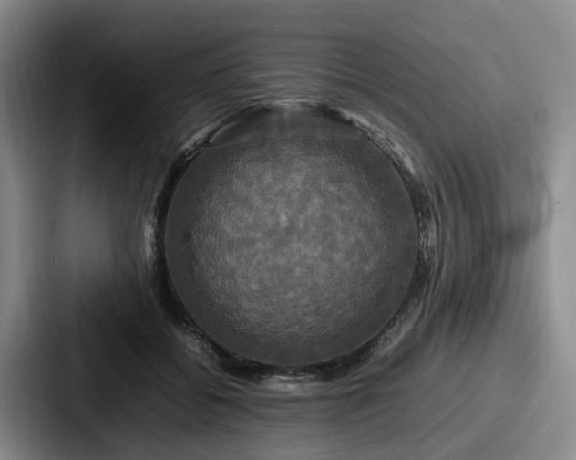 X0000087710556200705111423