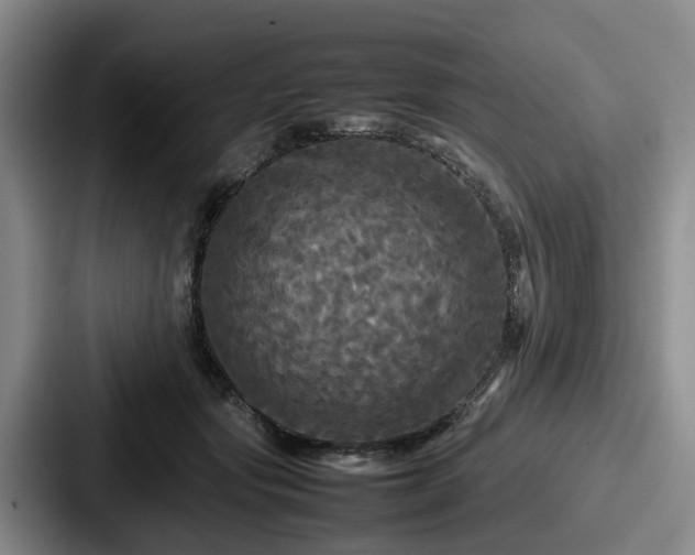 X0000087710557200705111423
