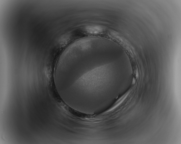 X0000087710559200705111423