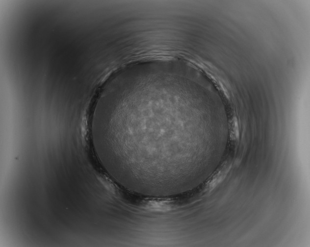 X0000087710560200705111423