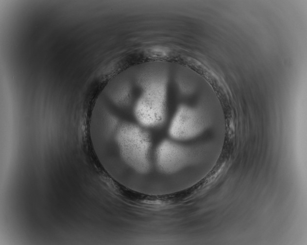 X0000087710561200705111423