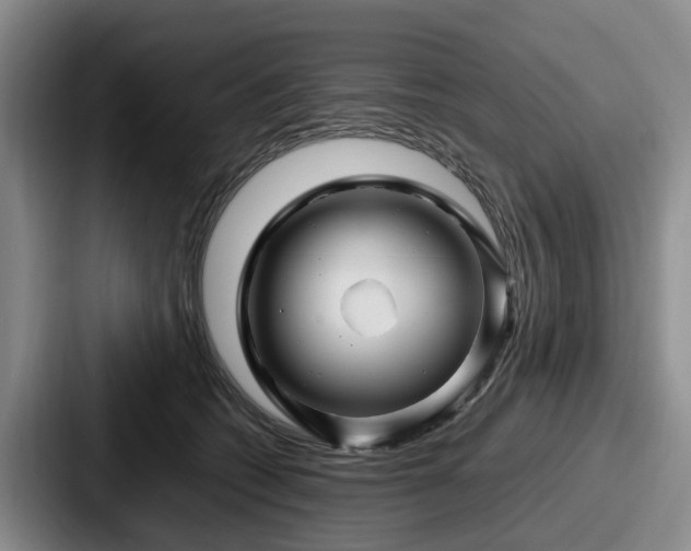 X0000087710562200705111423