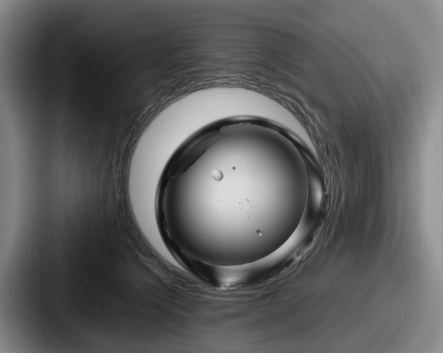 X0000087710564200705111423