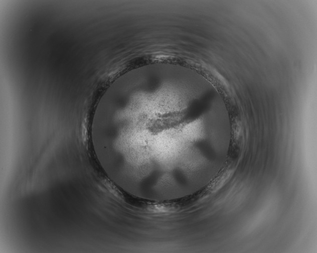 X0000087710565200705111423