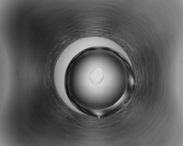 X0000087710566200705111423